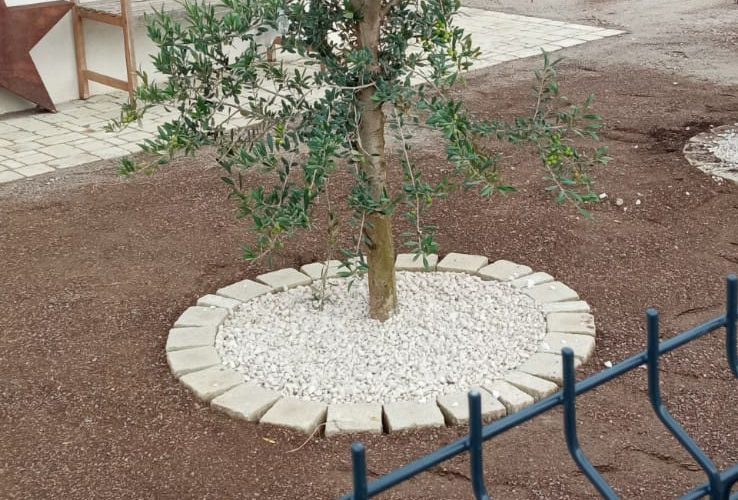 &Agrave; propos de GLOBAL TP Montb&eacute;liard 1
